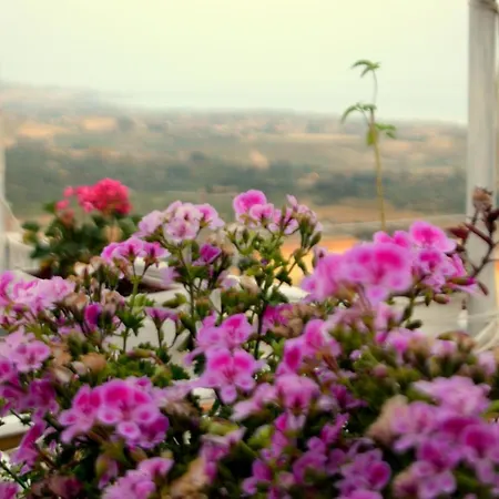 Apartment Terrazza Greca *